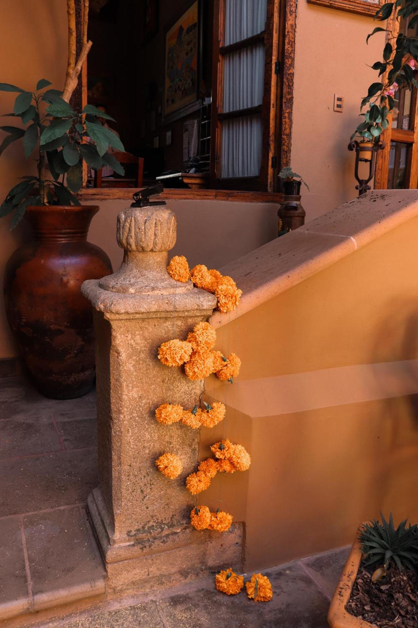 Mansion De Los Suenos パツクアロ エクステリア 写真